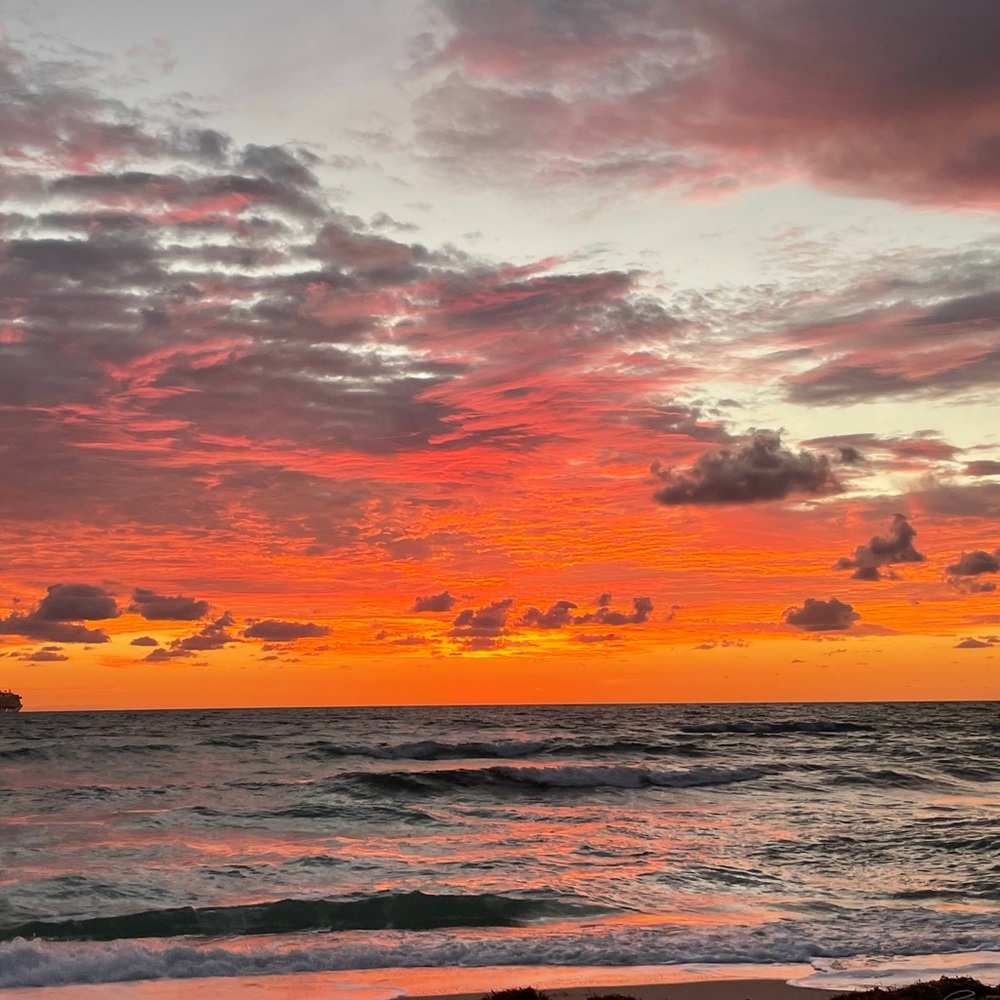 Meet your Posher, Aly